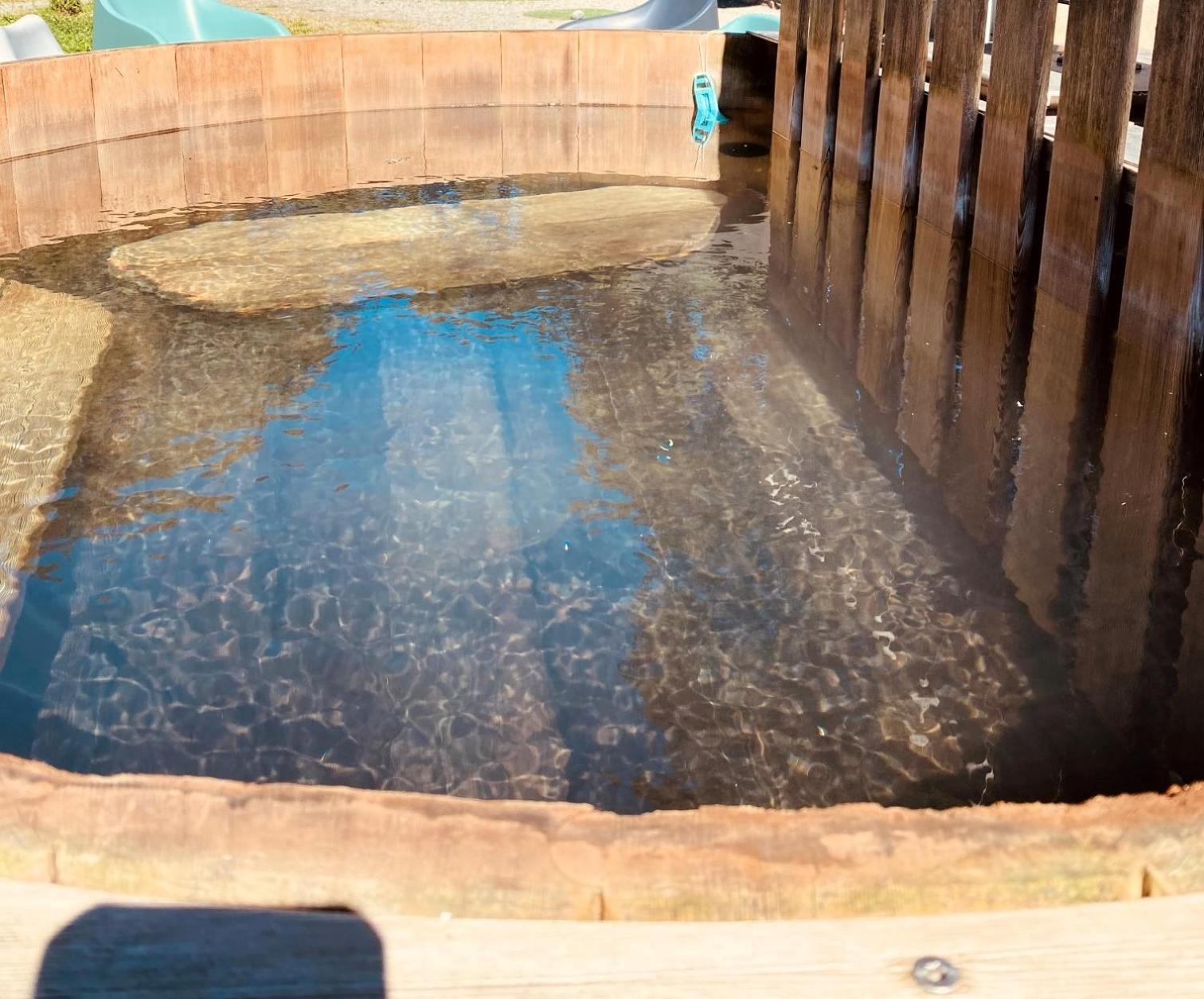 Villa Les Marmottes Pour 12 Avec Bain Nordique Privatif Camous Exterior foto